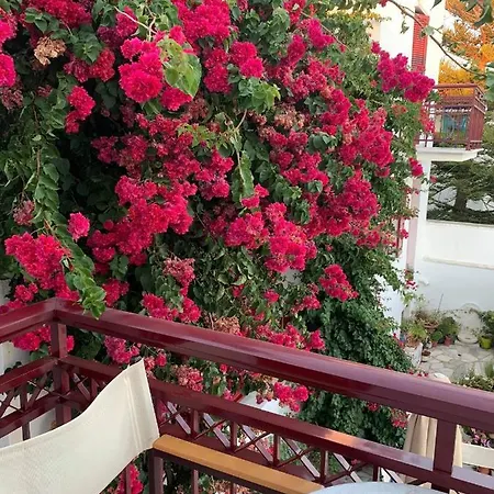 Akrogiali Agios Sostis (Tinos)