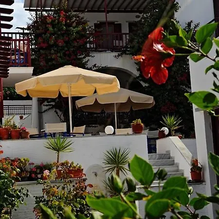 Hotel Akrogiali Agios Sostis (Tinos)