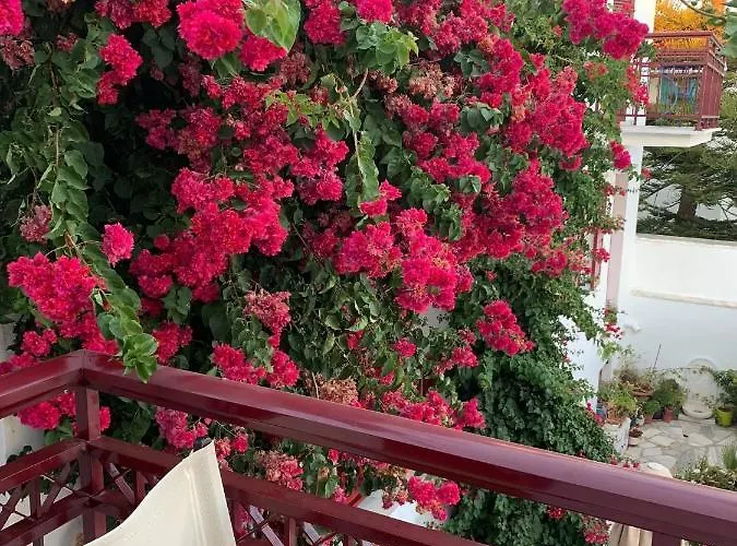 Akrogiali Agios Sostis (Tinos)